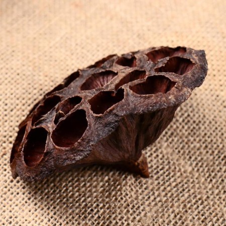 Sukhotza “Lotus” D-8-11 cm, brown-2