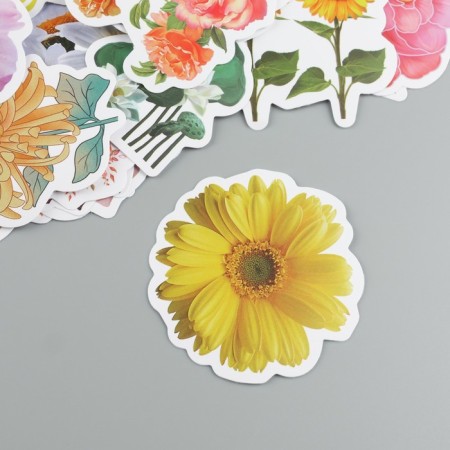 Stickers Plastic "Flower Assorted" set 60 pcs 10x12 cm-1