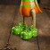 Souvenir "Duck in the orange-green suit" tree 13x9x27 cm