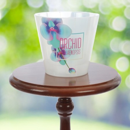 Kashpo for orchids "Fiji", 1.6 l, design mix-8