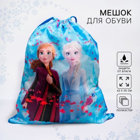 A bag for shoes 420 x 350 mm, cold heart "Anna and Elsa" (soft polyester, density 210d)-3