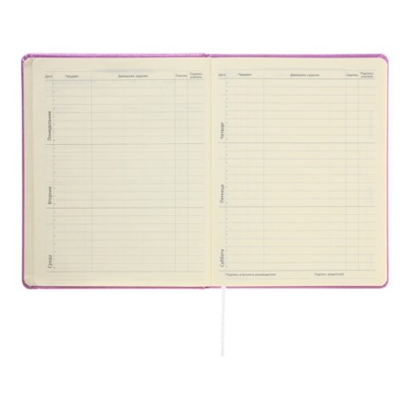 Universal Diary for Butterfly 1-11 grade, solid cover, artificial leather, foamy, foil embroidery, liesse, 80 g/m2-7