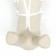 Dog raincoat, size XS (DS 18, OG 25-30, Osh 25 cm), white
