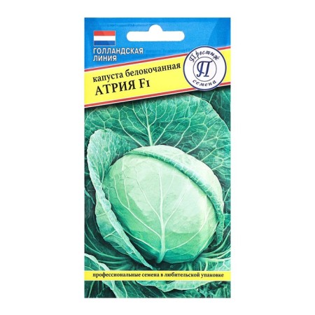 Cabbage seeds "Atria F1" white, c/n, 10 pcs.