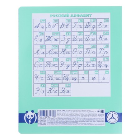 Notebook of 12 sheets in the slanting line "Panda-wrapper", covered cardboard, block 80 g/m2, suitable for feathers and capillary handles-2