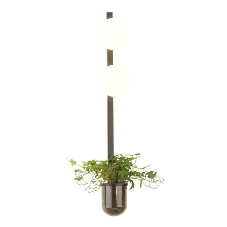 Bra Flower, 2x40W E14, black color