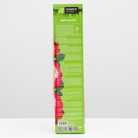 Dabble Delight Rosa seedling, spring 2024, 1 pc.-1