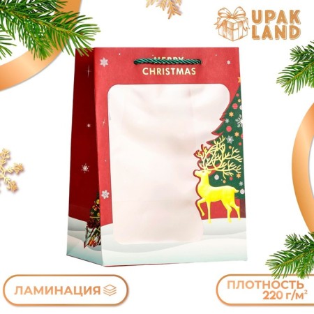 Laminated package, with the New Year window, 25 x 18 x 13 cm, red