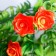 Bouquet "openwork roses" 25 cm mix