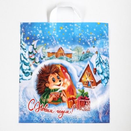 Package "Frosty Morning", polyethylene with a loop pen, 38x42 cm, 40 μm