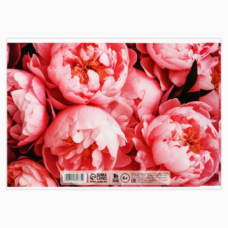 Album for drawing on A4 gluing, 40 sheets "Flowers"-3