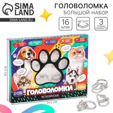 Metal puzzles 16 pcs 