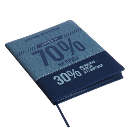 School diary for grades 1-11, 70/30 %, firm covering with foam, artificial leather, silkography, liesse, universal cheat sheet, 48 sheets, block 80g/m2-1