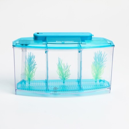 Aquarium set is three -section, with LED backlight, 2.55 l, blue-1