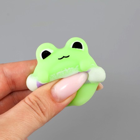 Squish anti -stress Maglet "Frog" with a circle-4