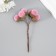 Flowers for decorating "Clatine" lilac 1 bouquet = 6 branches d = 2 cm 11 cm