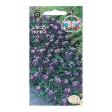 Flower seeds Alissum 