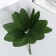 Decor for creativity "Osinin sheet (1 set = 1 bouquet) in the bouquet 12 pcs sheet 5x2.5 cm