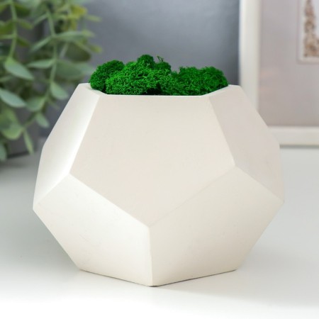 Concrete Kashpo "Pentagon" Height 8 cm white with moss (moss green stabilized)