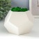 Concrete Kashpo "Pentagon" Height 8 cm white with moss (moss green stabilized)