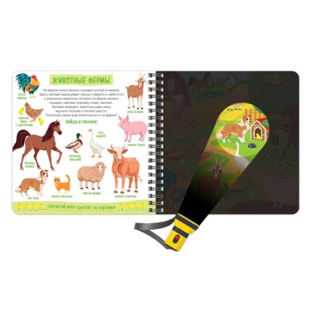 Secret book with a magic flashlight "Zoland", 22 p.-4