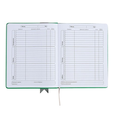 Universal diary for grades 1-11 Lenta, solid cover of artificial leather, applique, silkography, liesse, 48 sheets, green-6