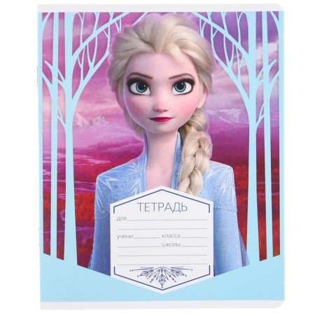 Notebook in a ruler of 12 sheets, 5 types of mix, cover coated cardboard, cold heart-9