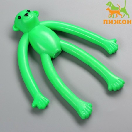 A toy for dogs "Monkey" with a squeak, 19.5 cm, silicone, green