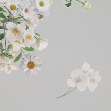 Plastic stickers "Flight flowers. White" set 40 pcs 15x8 cm-3