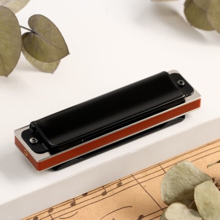 Music Life T008L Clinkle C Diatonic, 10 holes, with a case-2