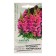 Seeds of Antirrinum "Raspberry Sonata", F1, 7 pcs.