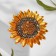 Sunflower Book-Coumon, a gray-golden color in gold