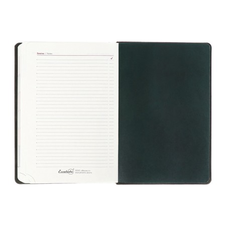 Dated 2025 diary, Escalada, A4, 120 sheets, soft cover, artificial skin, foil embossing, liesse, block 70 g/m2, green block-14