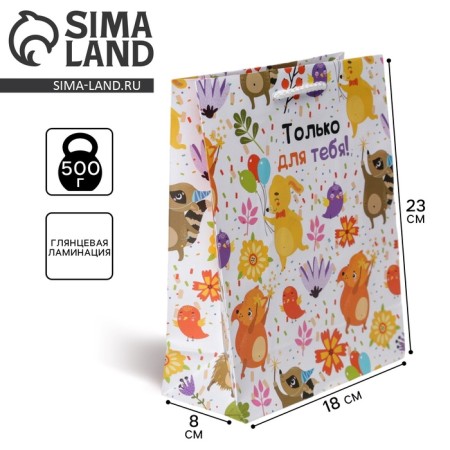 Gift package laminated, packaging, “only for you”, MS 18 x 23 x 8 cm
