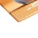Diary for grades 1-4, hard cover "Beasts", matte lamination, selective varnish, block 60 g/m2