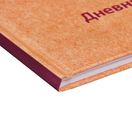 Diary solid cover 1-11 grade 48 sheets, "sweater", cardboard cover 7BC, glossy lamination, cheat sheet-2