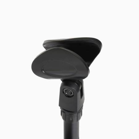 Muscic Life microphone flooring is floor, under two microphones, h-150 cm, D microphone 2.5 cm-3