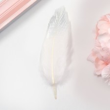 Feathers for decor, silver partial color, 13-15 cm 10 pcs