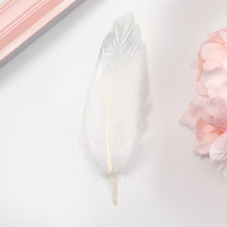 Feathers for decor, silver partial color, 13-15 cm 10 pcs