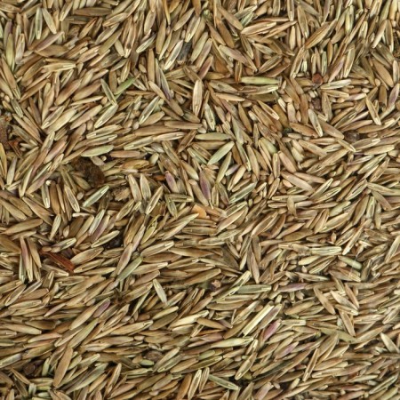 Lawn "Beauty", "Mauritan", 0.5 kg-3