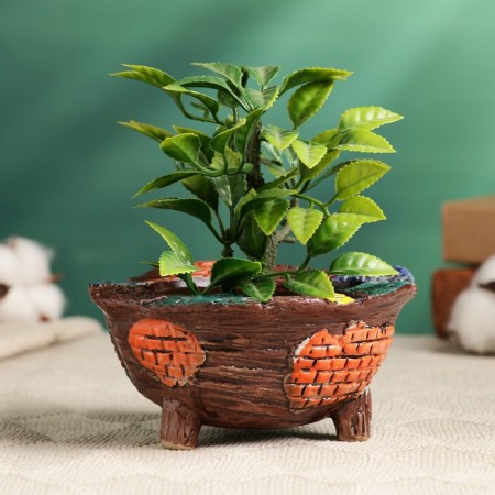 Pot - oval bonsian