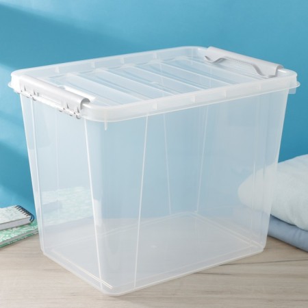 Storage container with a lid Ricco, 25 l, 41 × 29.5 × 31.2 cm, transparent-1