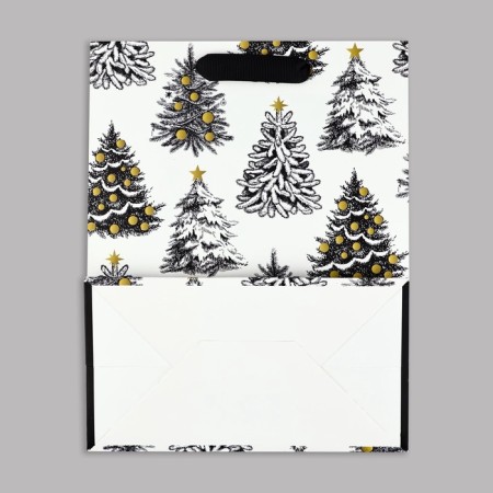 Package Gift New Year Laminated "Winter Tale", MS 23 x 18 x 10 cm, New Year-4