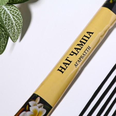 Incense "Agarbatti Nugmp", 8 sticks in soft packaging-1