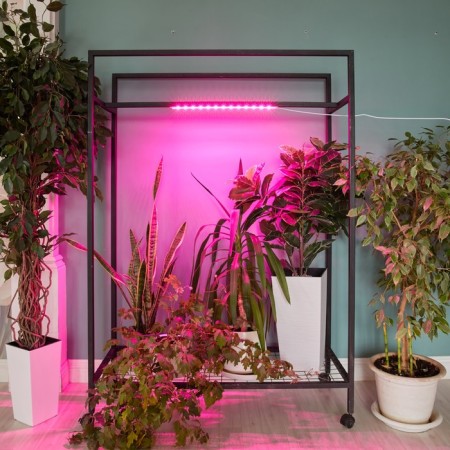 Lamp for plants LED linear, 540 mm Uniel, 10 W, LED, IP65, Color transparent-5