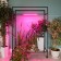Lamp for plants LED linear, 540 mm Uniel, 10 W, LED, IP65, Color transparent