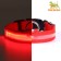 Collar with backlight size m, Osh 40-48 x 2.5 cm, 3 glow modes red