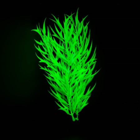 The plant is artificial aquarium, luminous, 20 cm, green-3