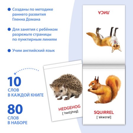Books Set "Doman Cards in English", 8 pcs. 24 p.-1