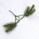 Decor "spruce spray", set of 10 pcs., Size 1 pc. - 8 × 8 × 2 cm